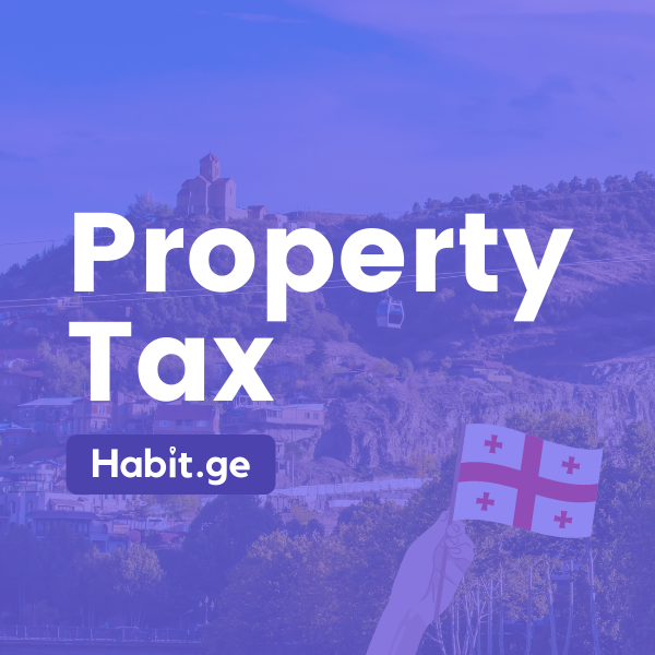 Property Tax & Rental Income Taxes in Georgia (Country)