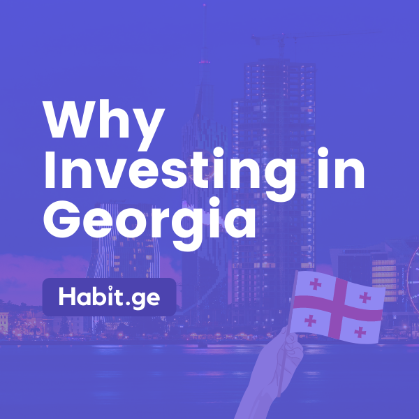 Why investing in Georgia (country)?