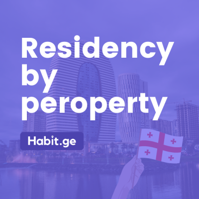 Residence in Georgia by Purchasing Real Estate Property