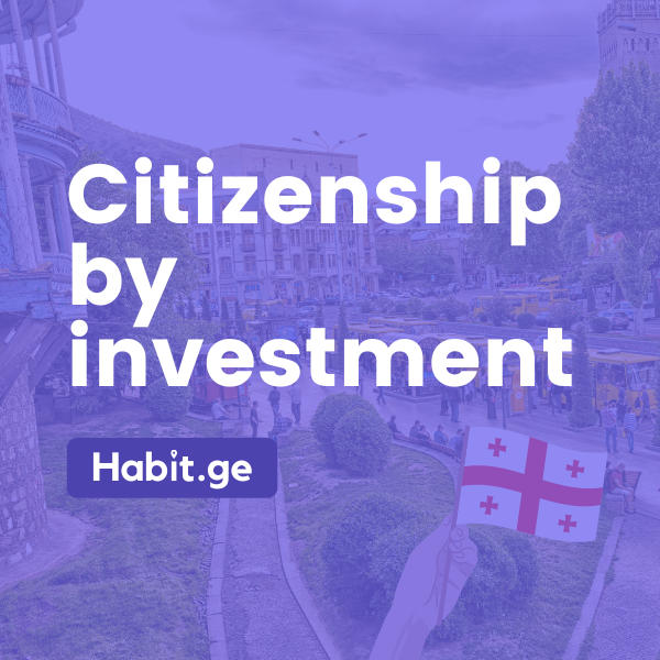 Citizenship and Residency by Investment in Georgia (country)